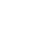 Icono