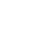 Icono