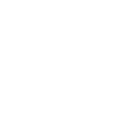 Icono