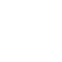 Icono